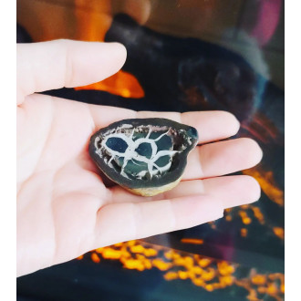 Septarian, Dragon Stone, Fossil 43 mm